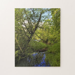 Elijah Bristow Staat Park, Dexter, Oregon Puzzle