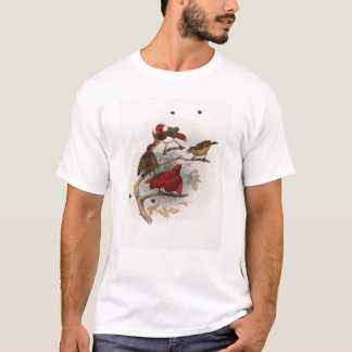 Eliot - Cicinnurus königlich - König Paradiesvogel T-Shirt