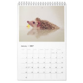 Eliot der Igelskalender Kalender (Jan 2027)