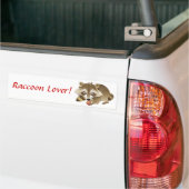 Eliot der Waschbär Autoaufkleber (Auf Lkw)