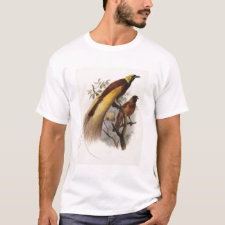 Eliot - Paradisea apoda - größerer Paradiesvogel T-Shirt