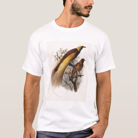 Eliot - Paradisea apoda - größerer Paradiesvogel T-Shirt (Vorderseite)