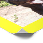 Elise 2006 poster (Ecke)