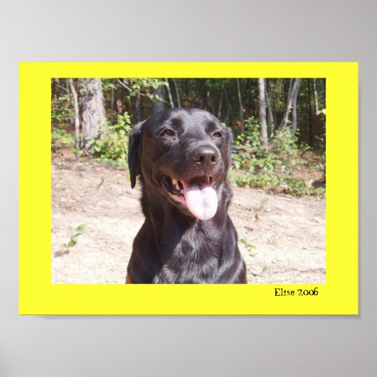 Elise 2006 poster (Vorne)