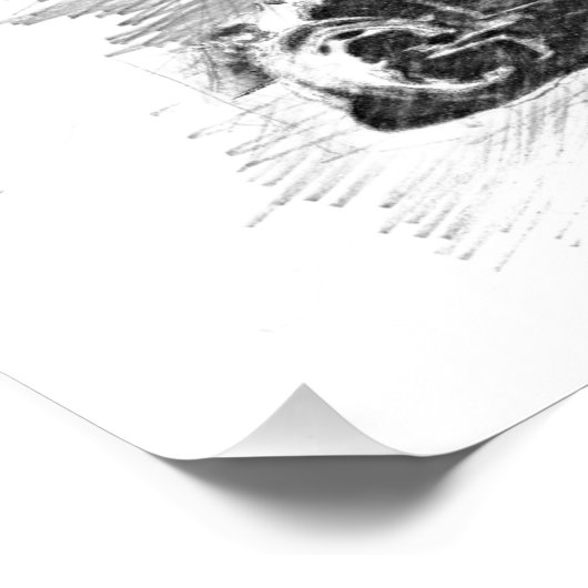 Eliška Junková Poster (Ecke)