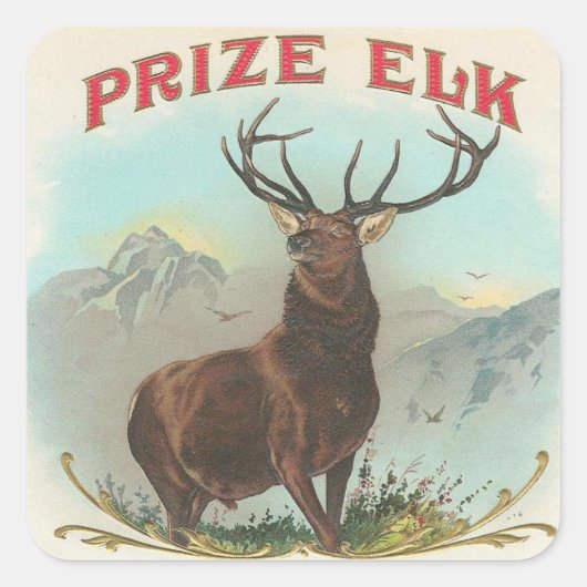 Elitetier Elch Quadratischer Aufkleber (Vorderseite)