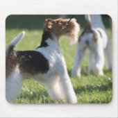 Eliza Mousepad (Vorne)