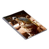 Eliza Queen of the Meerkats, Notebook Notizblock (Rechte Seite)