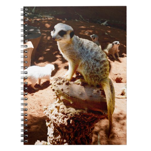 Eliza Queen of the Meerkats, Notebook Notizblock (Vorderseite)