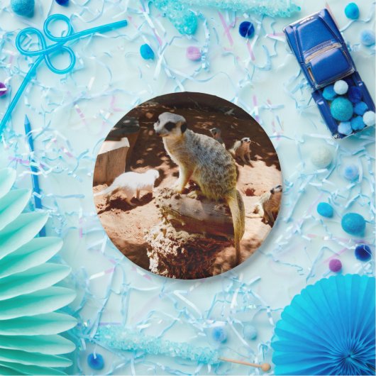 Eliza Queen of the Meerkats, Paper Party Teller (Party)