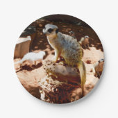 Eliza Queen of the Meerkats, Paper Party Teller (Vorderseite)