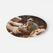 Eliza Queen of the Meerkats, Paper Party Teller (Schrägansicht)