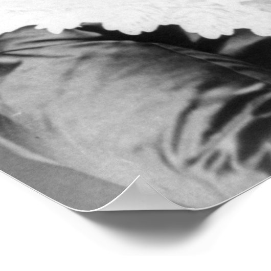 Elizabeth Cady Stanton Poster (Ecke)