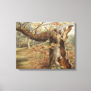 Elizabeth Murray - Rotting Tree Leinwanddruck