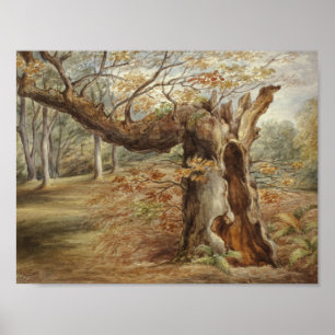 Elizabeth Murray - Rotting Tree Poster