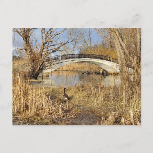 Elizabeth Park, Trenton, Michigan Postkarte (Vorderseite)