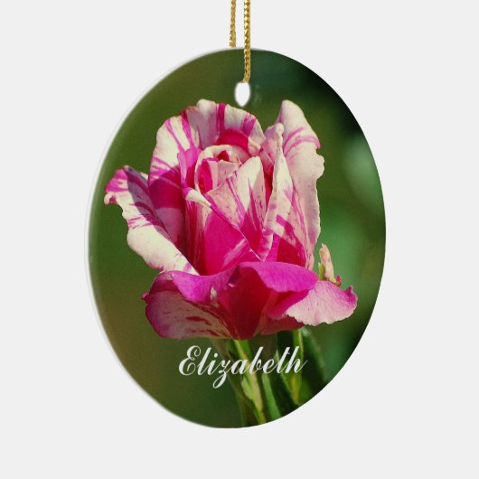 Elizabeth Peppermint Weihnachtsfeier Rose Ornament (Rechts)