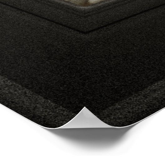 Elizabeth Throckmorton, Kanonenorden der Flammen Poster (Ecke)