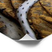 Elizabeth Tudor, Königin von England Poster (Ecke)