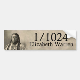 Elizabeth Waren 1/1024 amerikanischer Ureinwohner Autoaufkleber