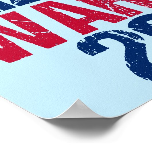 Elizabeth Warren 2020 Poster (Ecke)