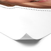 Elizabeth Warren Costume Poster (Ecke)