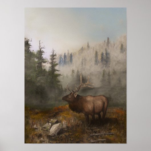 elk 12x16 poster (Vorne)