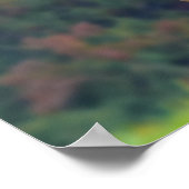 Elk 19x13 Poster (Ecke)