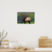 Elk 19x13 Poster (Küche)