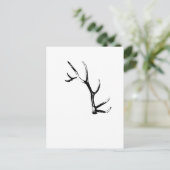 Elk Antler Postkarte (Stehend Vorderseite)