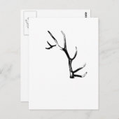 Elk Antler Postkarte (Vorne/Hinten)