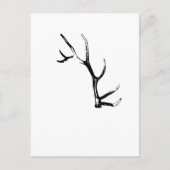 Elk Antler Postkarte (Vorderseite)