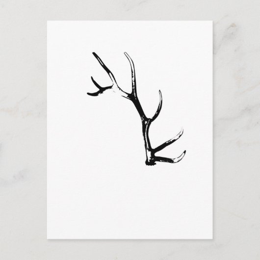 Elk Antler Postkarte (Vorderseite)