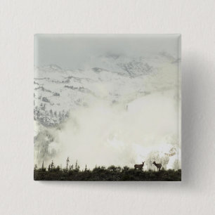 Elk at Grand Teton National Park Fotografy Button