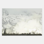 Elk at Grand Teton National Park Fotografy Geschenkpapier Set (Vorderseite)