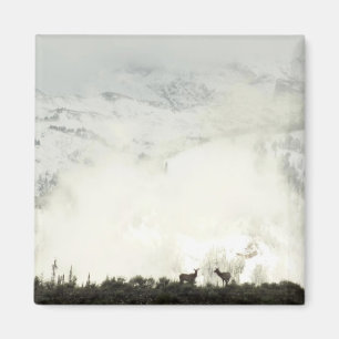 Elk at Grand Teton National Park Fotografy Magnet