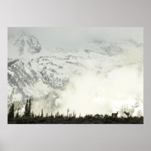 Elk at Grand Teton National Park Fotografy Poster (Vorne)