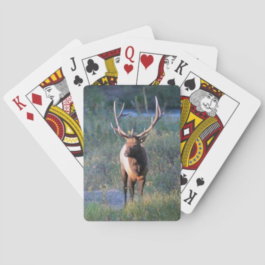 Elk Bicycle Playing Cards Spielkarten (Rückseite)
