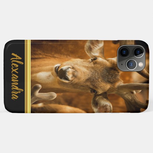 Elk Buck, der dich genau ansieht Case-Mate iPhone Hülle (Rückseite (Horizontal))