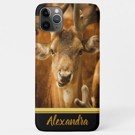 Elk Buck, der dich genau ansieht Case-Mate iPhone Hülle (Rückseite)