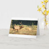 Elk Buck Karte (Gelbe Blume)