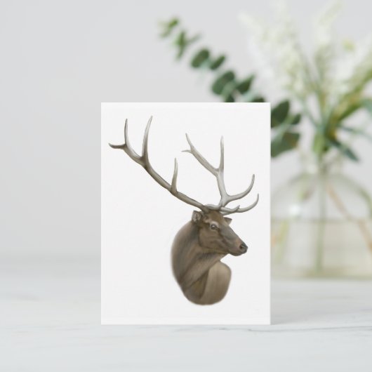 Elk Buck Postcard Postkarte (Stehend Vorderseite)