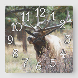 Elk Bull Buck Deer Mancave Wall Clock Quadratische Wanduhr