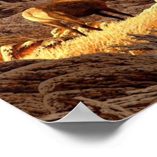 Elk Bull Poster (Ecke)