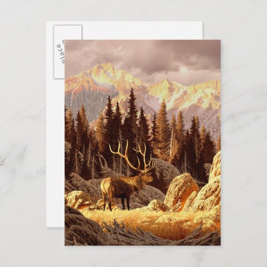 Elk Bull Postkarte (Vorne/Hinten)
