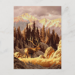 Elk Bull Postkarte
