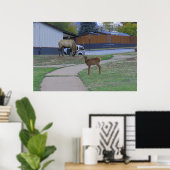 Elk Bull und Calf Poster (Heimbüro)