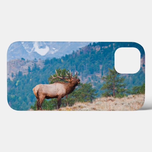 Elk (Cervus elephus) Case-Mate iPhone Hülle (Rückseite (Horizontal))