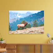 Elk (Cervus elephus) Leinwanddruck (Insitu (Wohnzimmer))