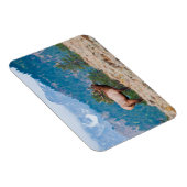 Elk (Cervus elephus) Magnet (Rechte Seite)